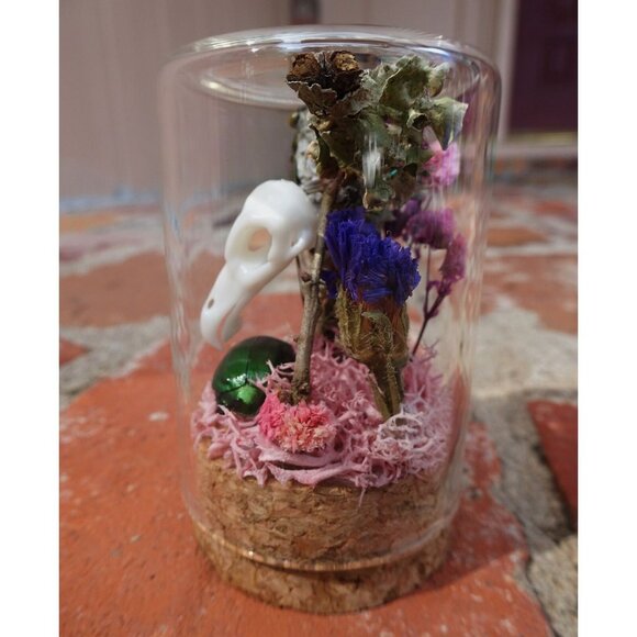 Cicada & Beetle Nature Art Oddity Jar mini vulture skull flowers goth taxidermy - Picture 5 of 10